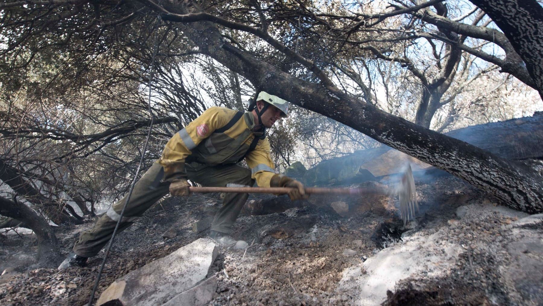 Bomberos Navarra campaña forestal invierno