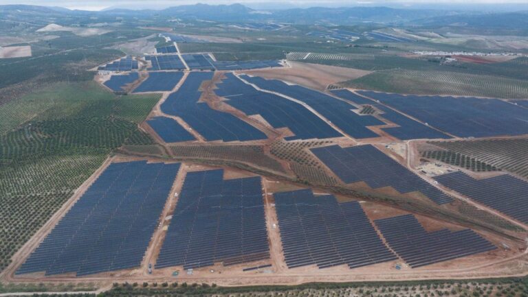 BRUC sector fotovoltaico 2024