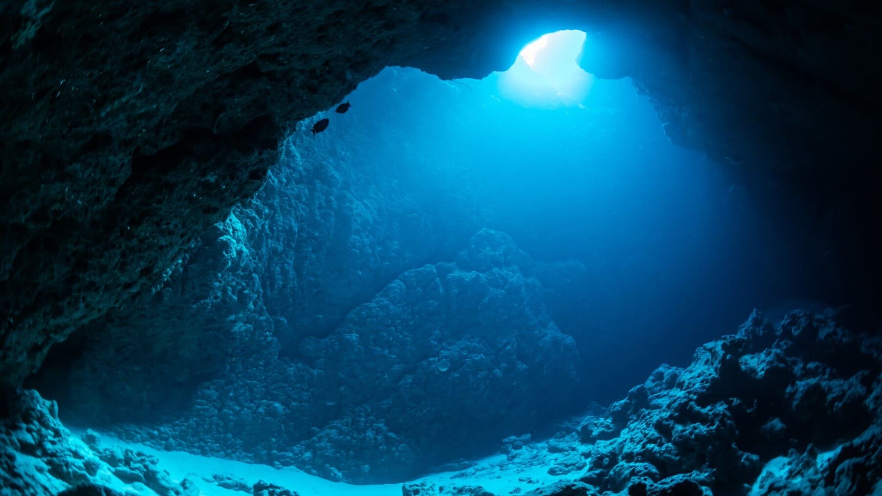 Cabo Gata cuevas submarinas Mediterráneo