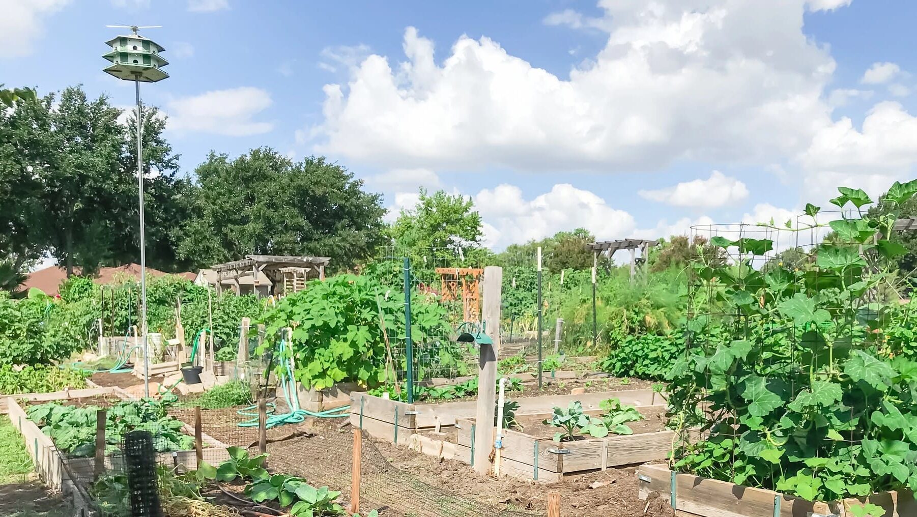 Casa Soto Aranzadi Navarra explotación agrícola ecológica