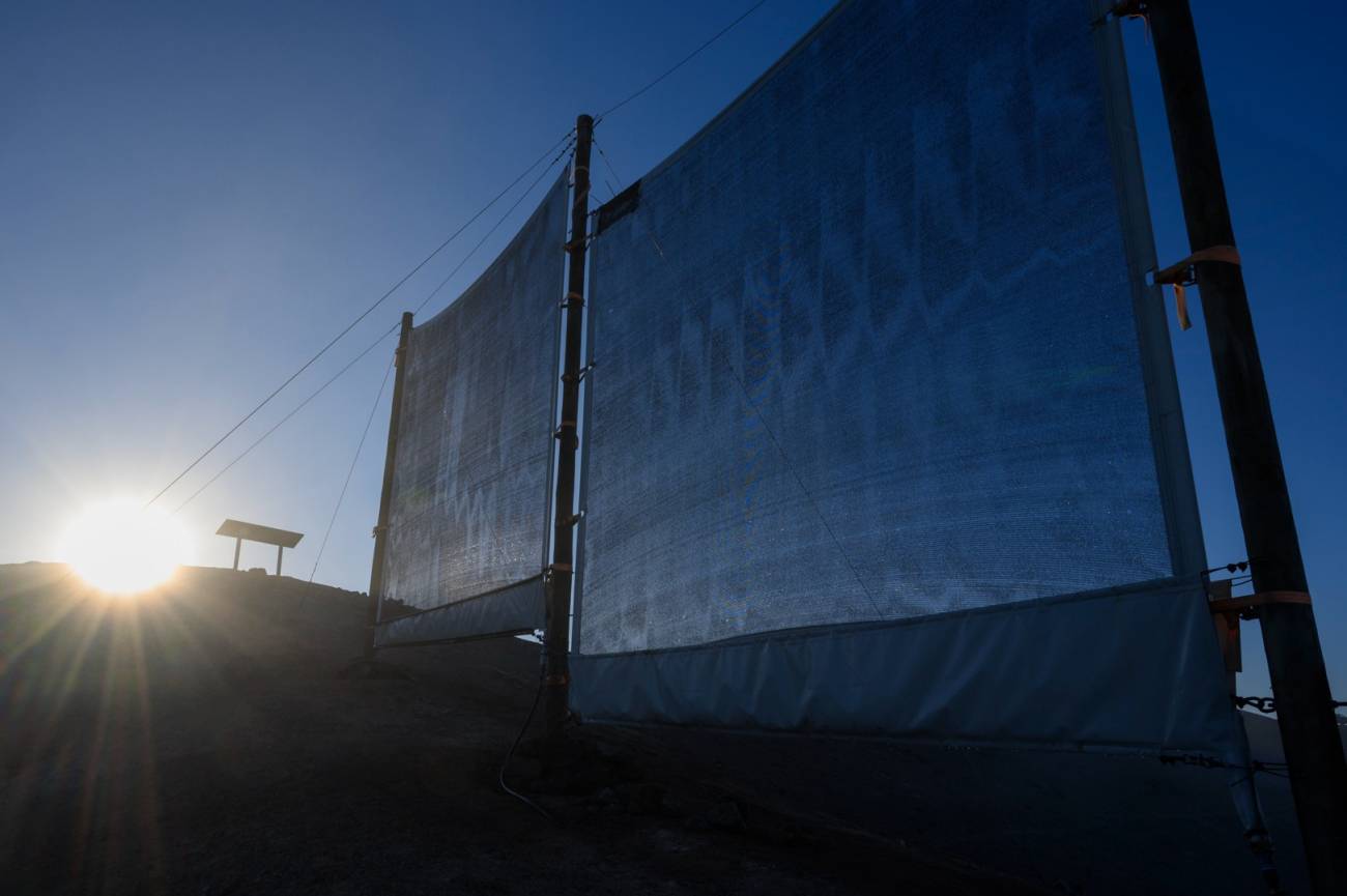 Chile oasis niebla desierto Atacama sequía