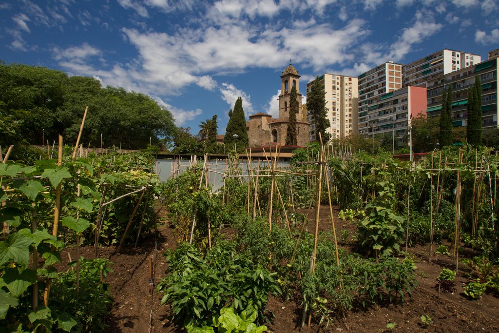 Agricultura ciudades cortafuegos incendios forestales