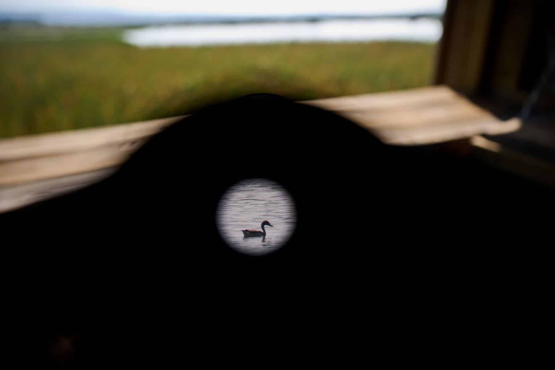 Día Mundial Humedales 2025 Navarra Estanca Dos Reinos