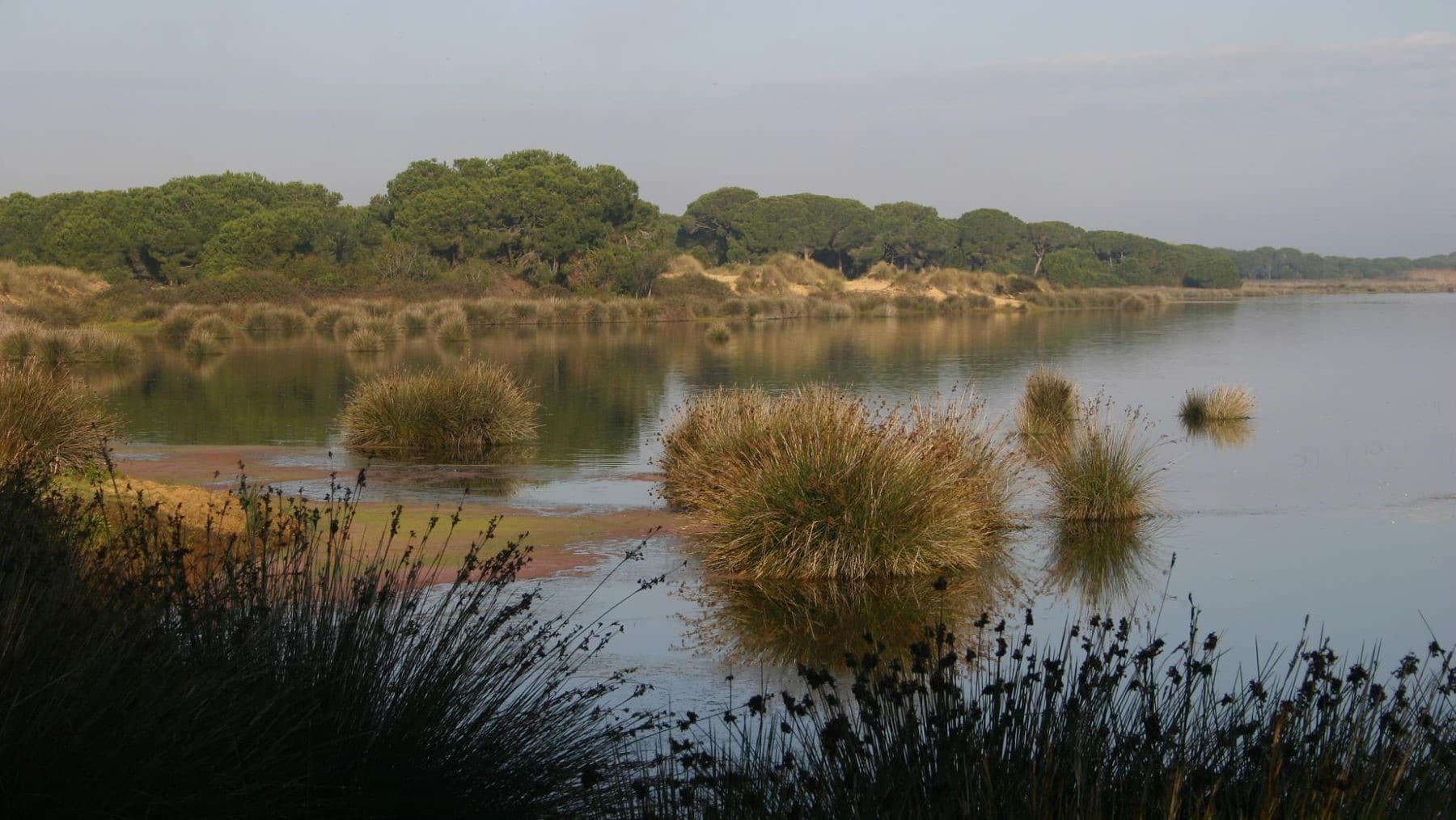Día Mundial Humedales 2025 100 actividades poner en valor hábitats