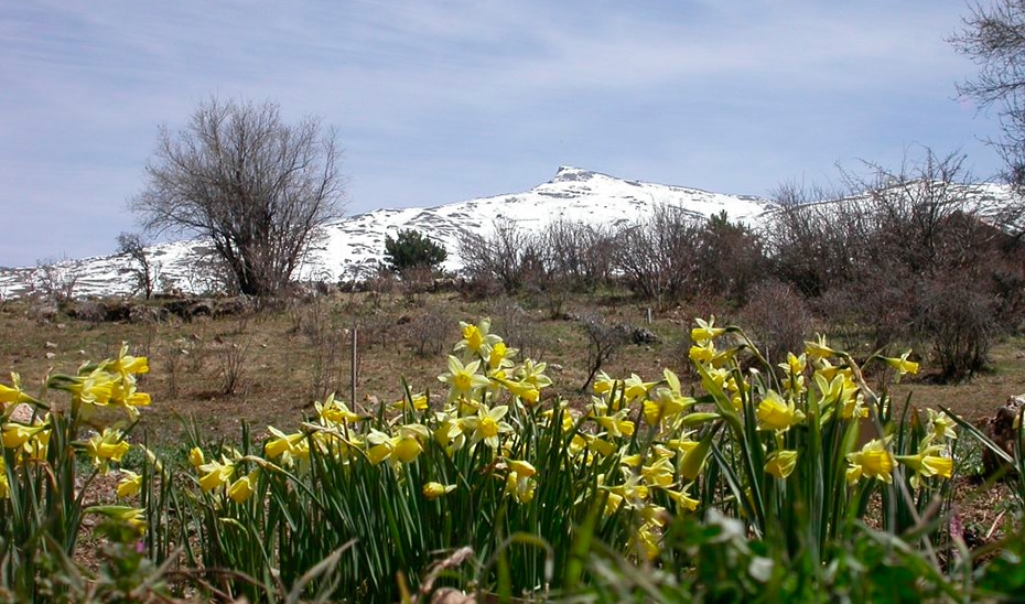 Ecoturismo Red Andaluza Jardines Botánicos Micológicos