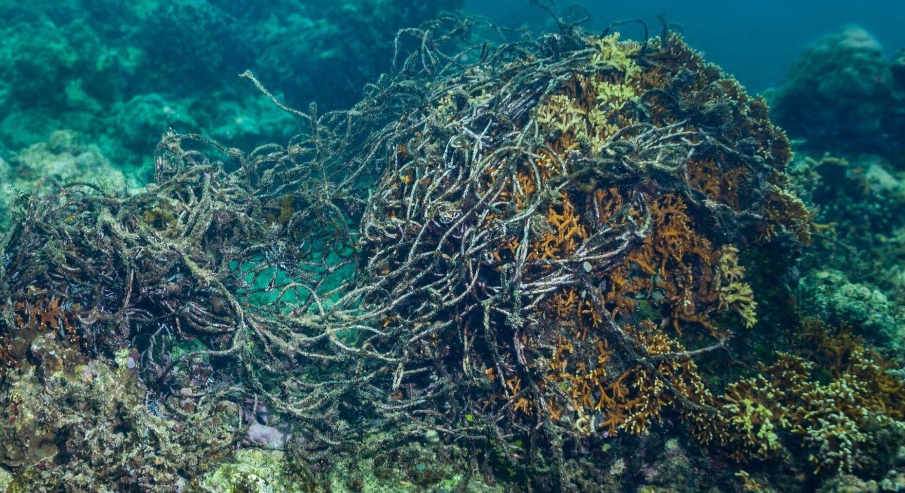 España ultraderecha italiana insostenible pesca arrastre