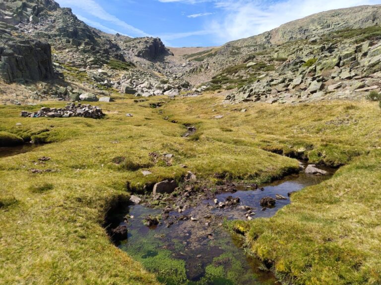 cambio climático ecosistemas agua dulce terrestres