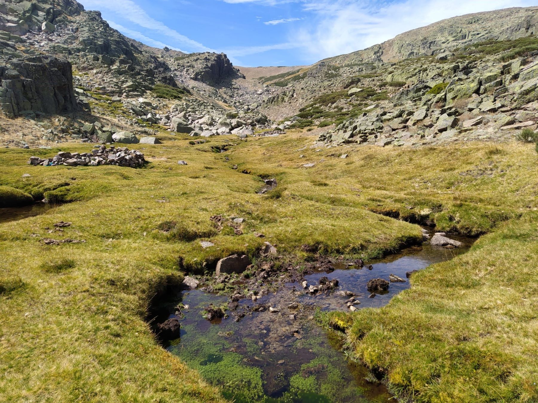 cambio climático ecosistemas agua dulce terrestres