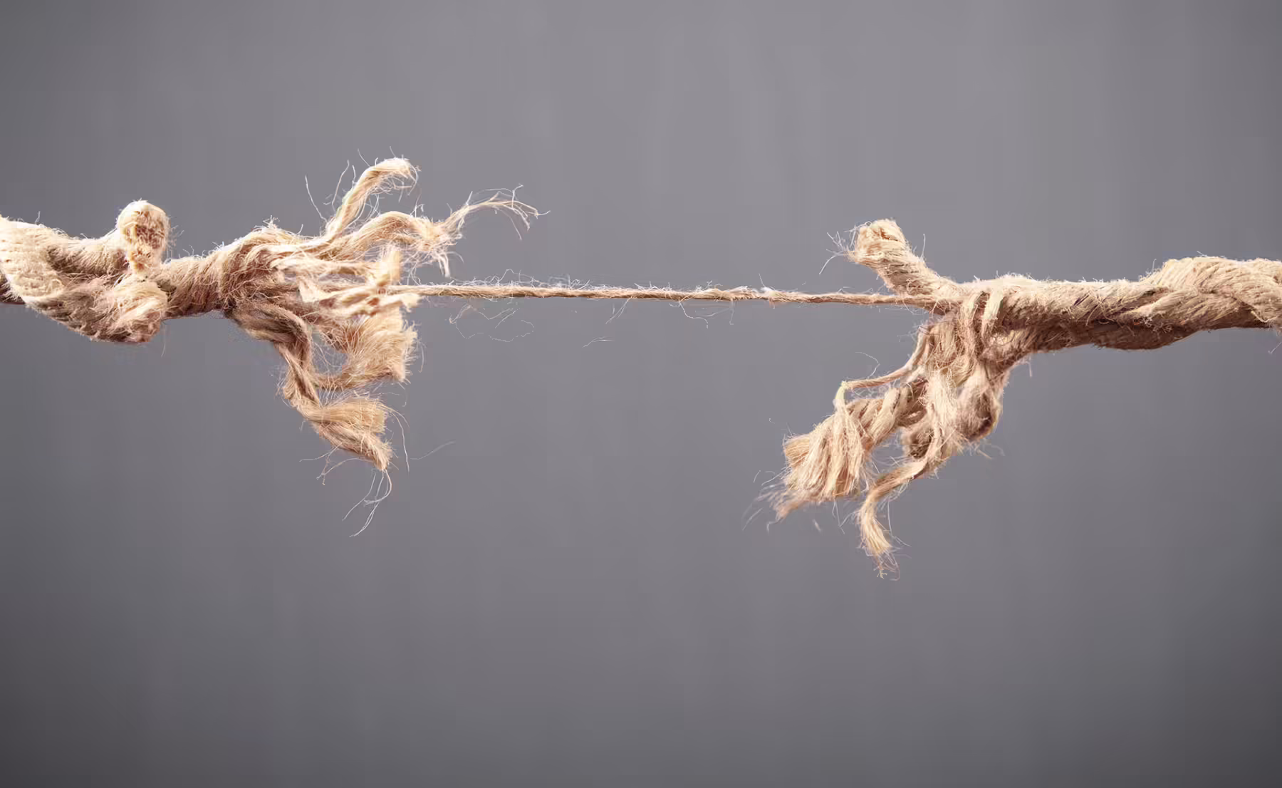 Bienestar límites Planeta