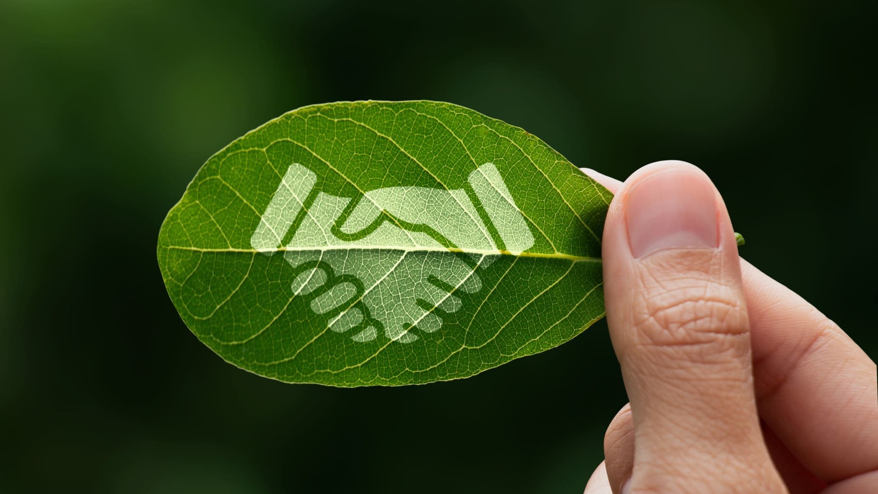 Mos compromiso ambiental