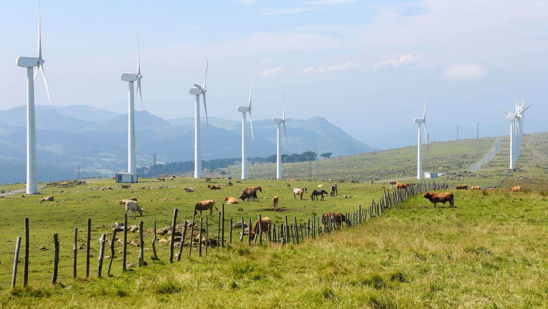 Galicia referente despliegue energías renovables España