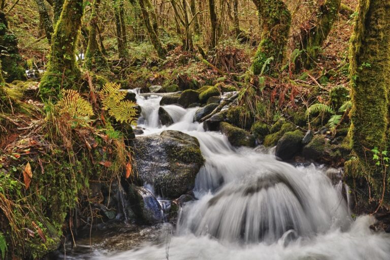 Galicia Parque Natural Fragas do Eume