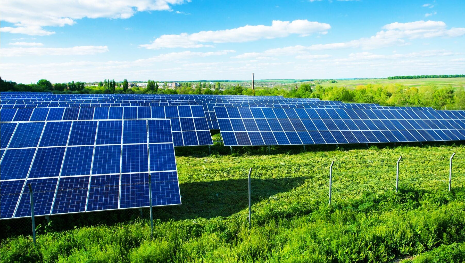 Sostenibilidad Energía Solar huertos solares biodiversidad