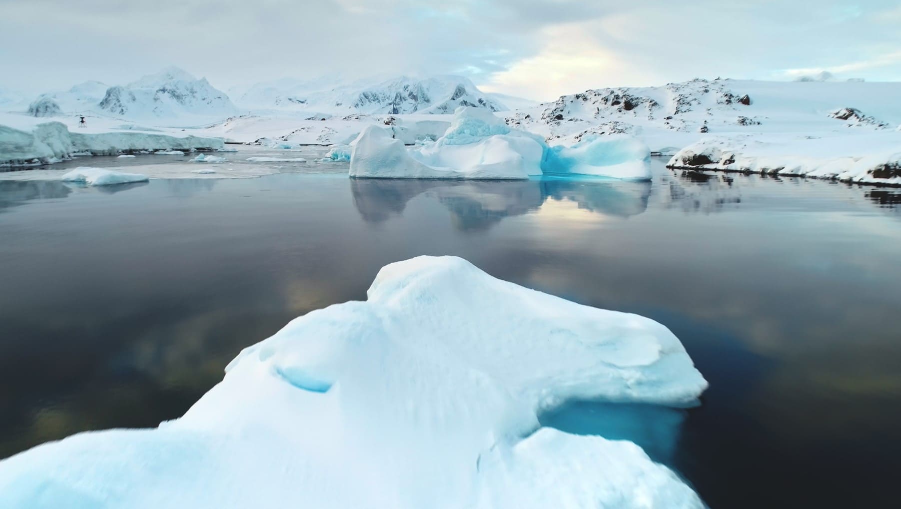 Meseta Antártica vida microbiana