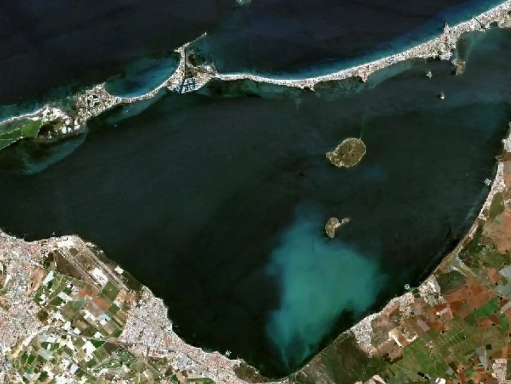 Diana Morant ciencia innovación protección Mar Menor