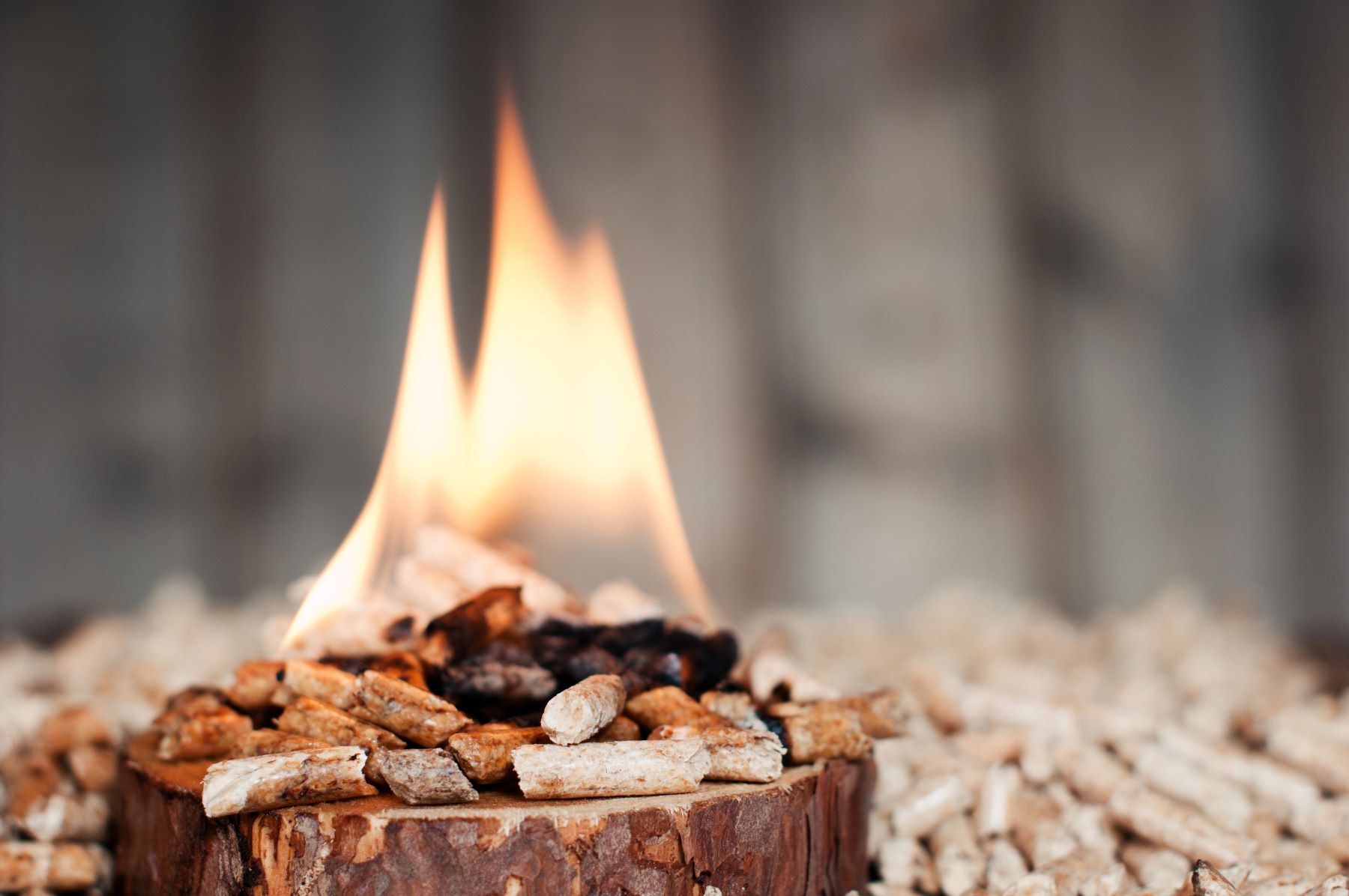 Diputaciones Provinciales Cataluña biomasa