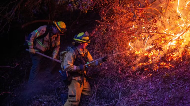 Incendios forestales cambio climático prevención