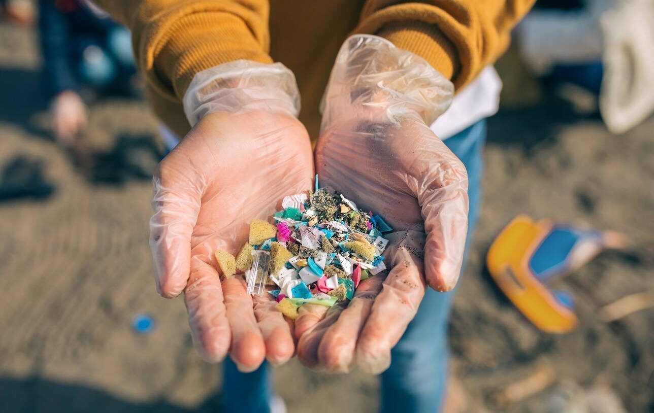 microplásticos cerebro