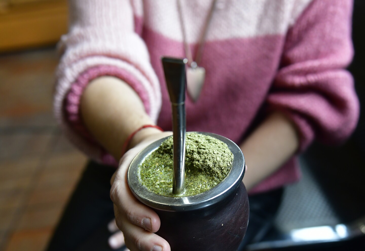 genoma yerba mate