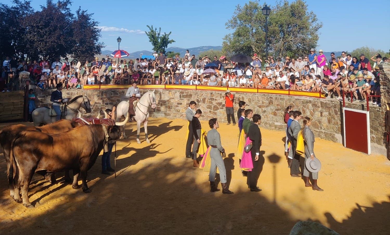 PACMA festejos taurinos Villavieja del Lozoya