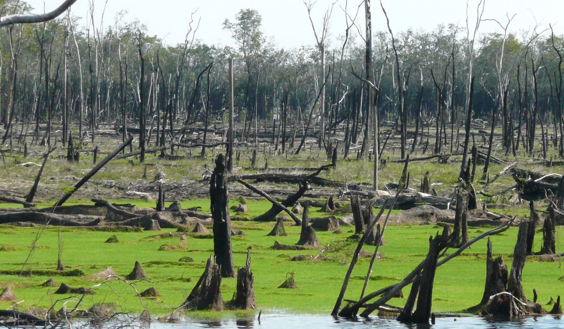 El Niño herramienta acciones preventivas