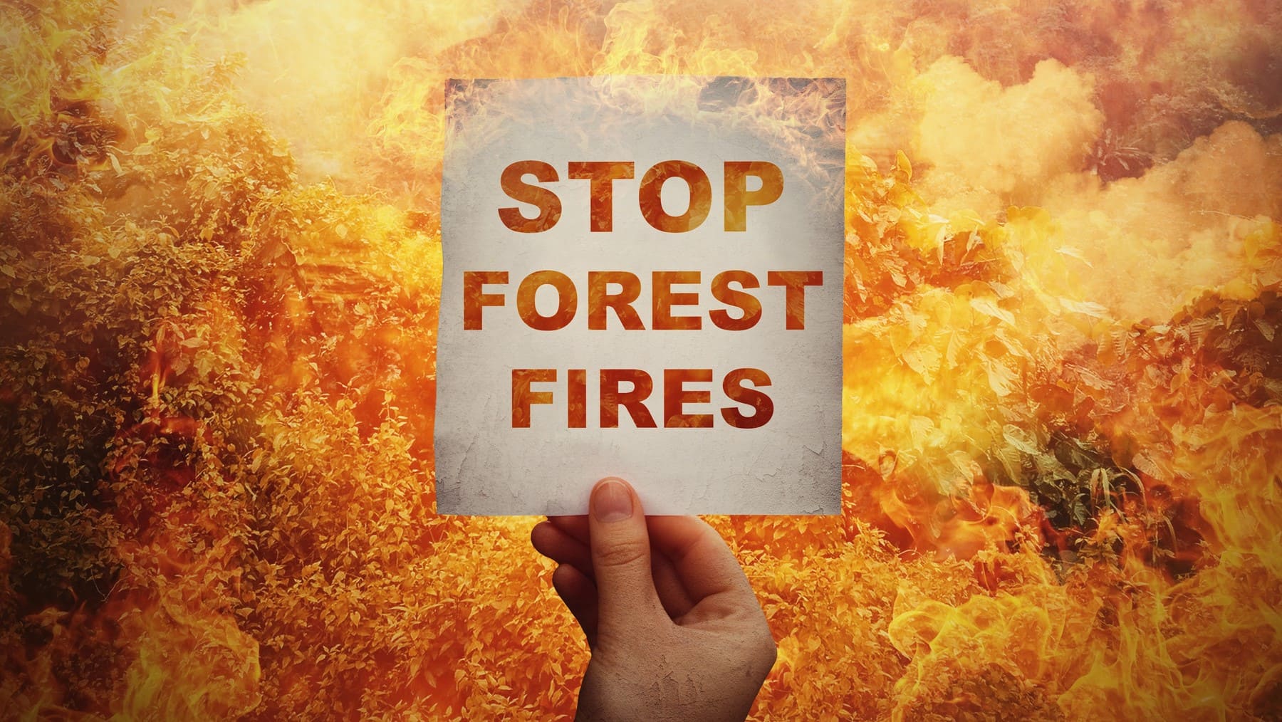 Firepoctep+ prevención extinción incendios forestales La Raya