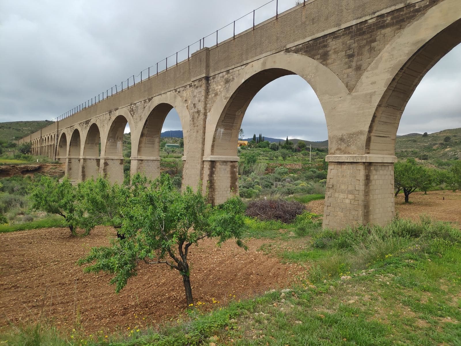 Spartaria Murcia masas forestales resilientes