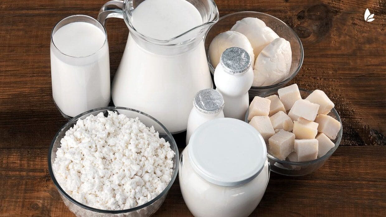 Know N Cheese sostenibilidad explotaciones lácteas queseras