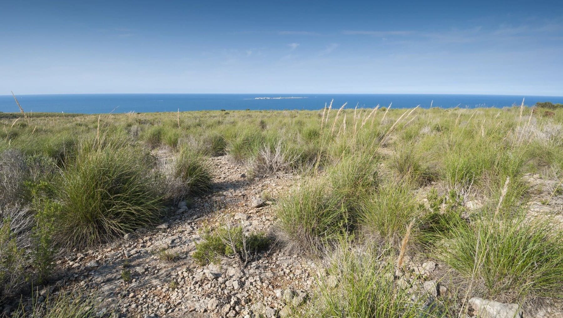 Murcia sostenibilidad recursos forestales