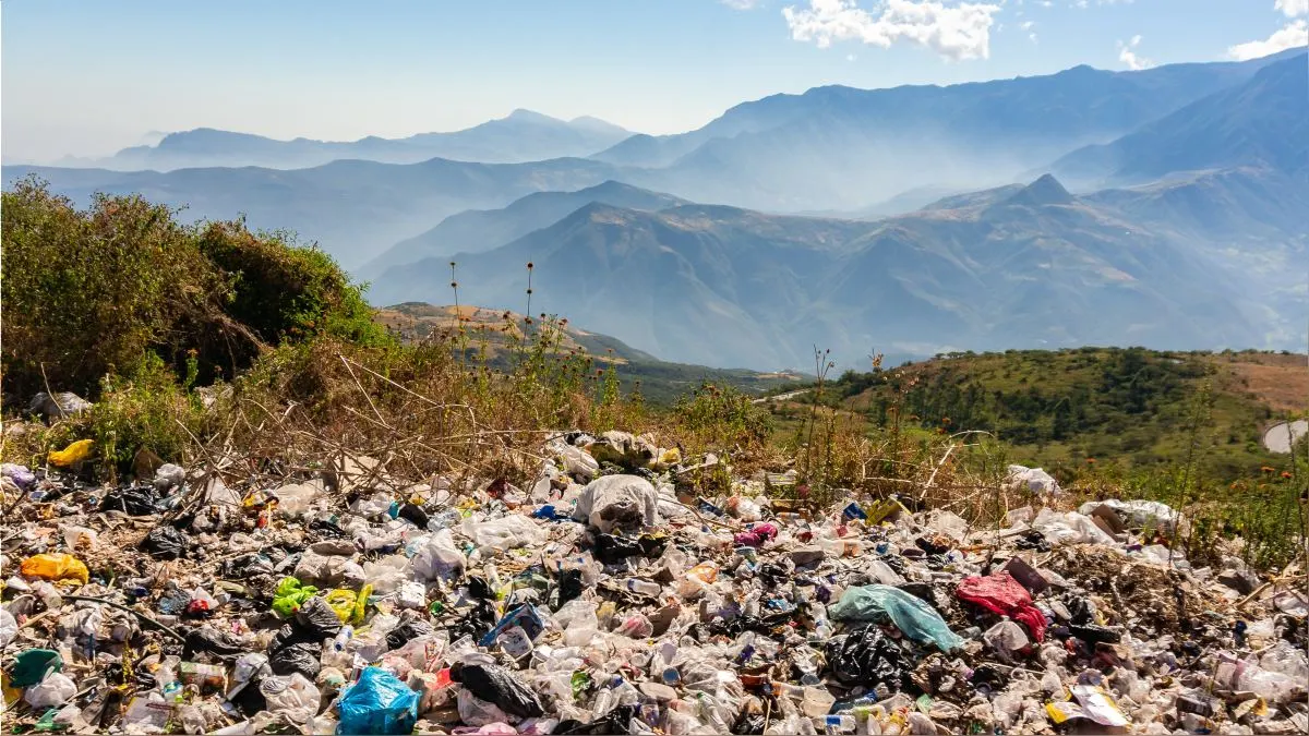 Medio ambiente Perú 2025