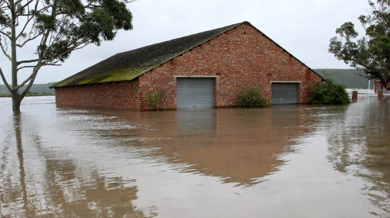 Sector seguros cambio climático
