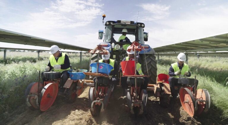 UNEF APREN agrovoltaica península ibérica