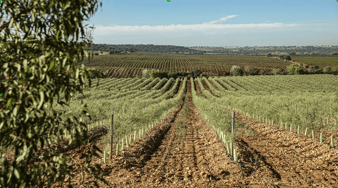 Unilever cero emisiones 2039