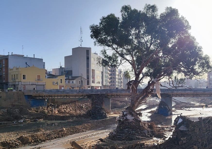 Valencia árboles protegidos DANA