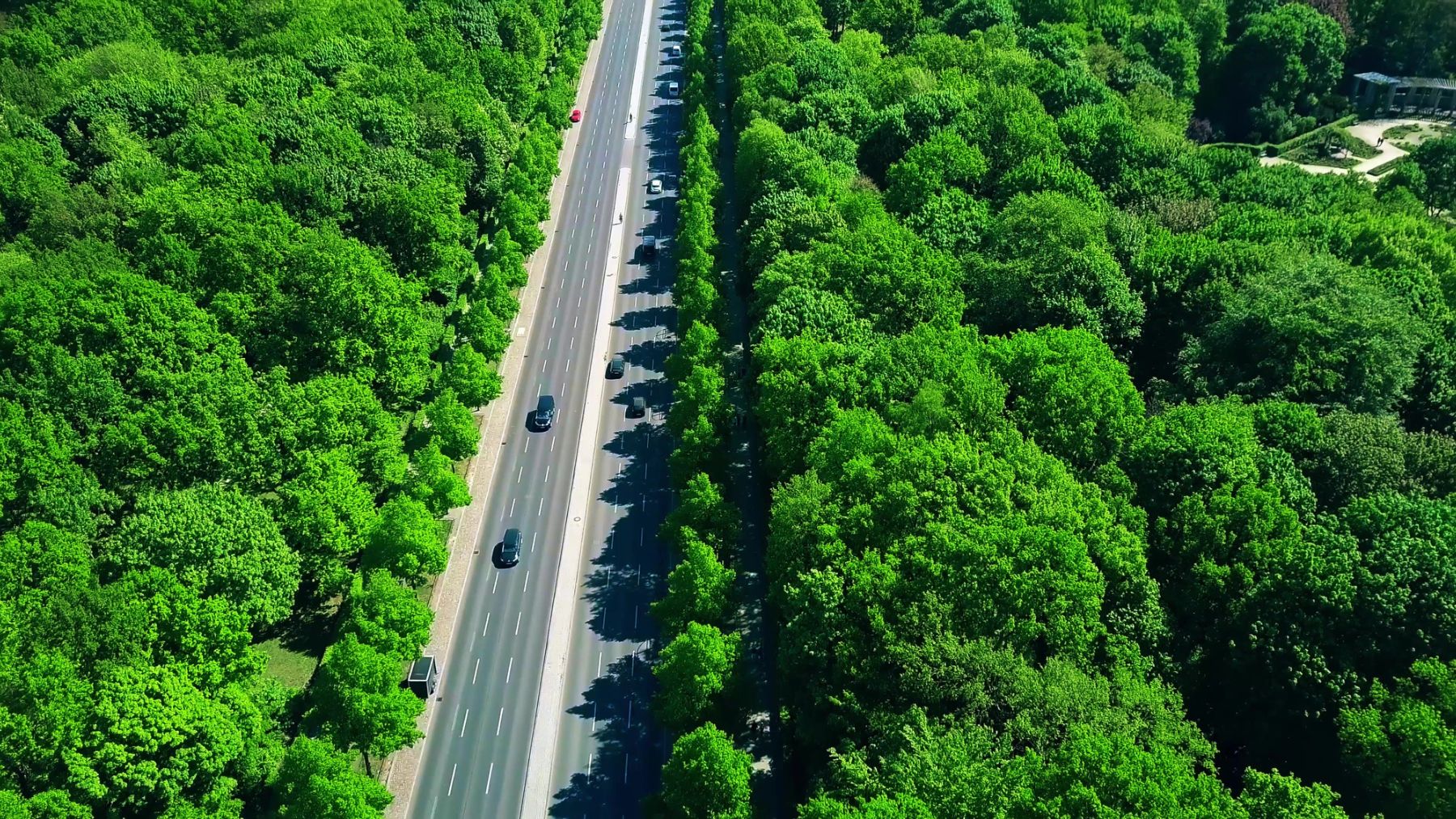 coches de combustion