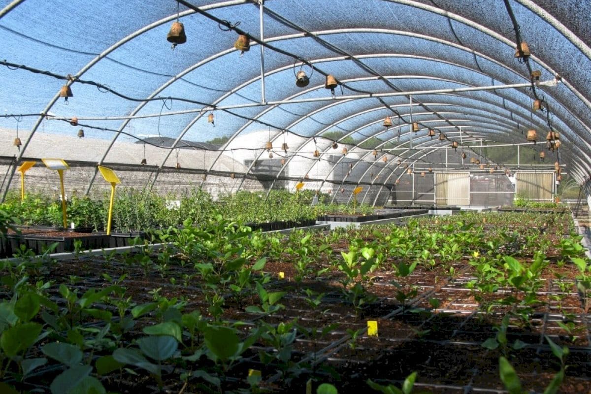 20 Aniversario Centro Investigación Experimentación Forestal