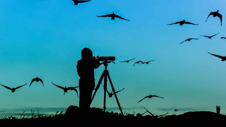 Andalucía destino turismo ornitológico naturaleza Europa