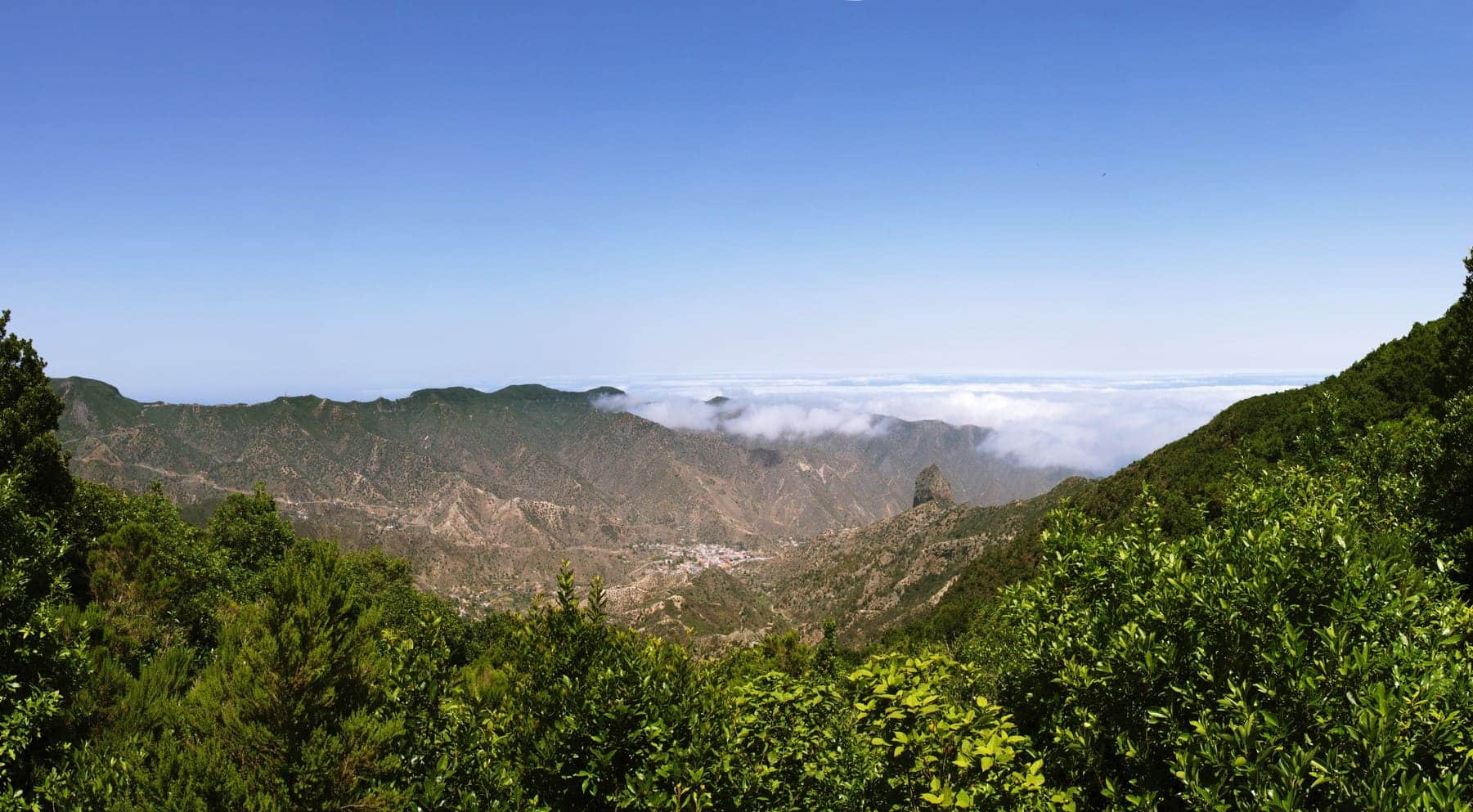 Plan Forestal Canarias montes