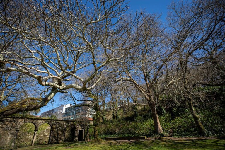 infraestructuras verdes Galicia cambio climático