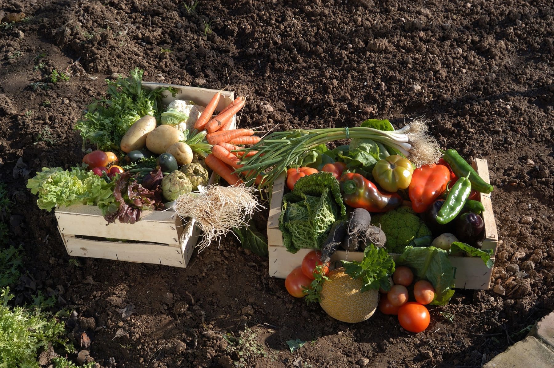 BioCultura A Coruña 2025 Galicia producción ecológica