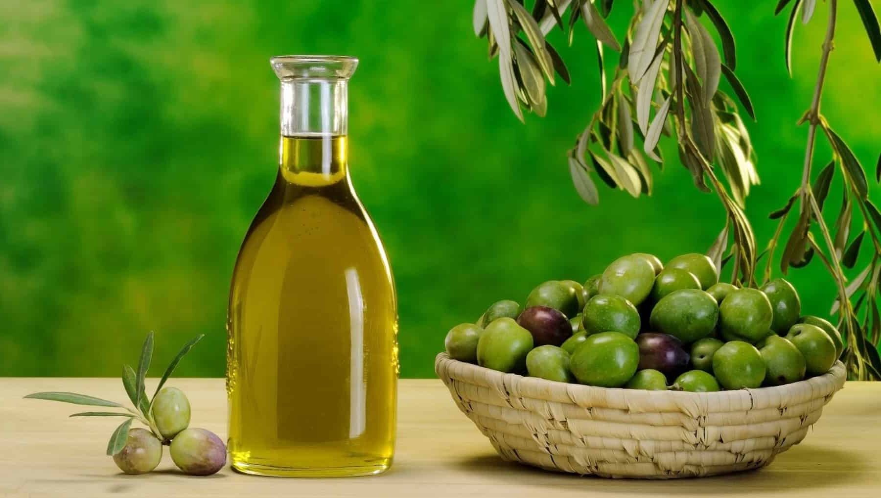 BioCultura A Coruña 2025 aceites ecológicos