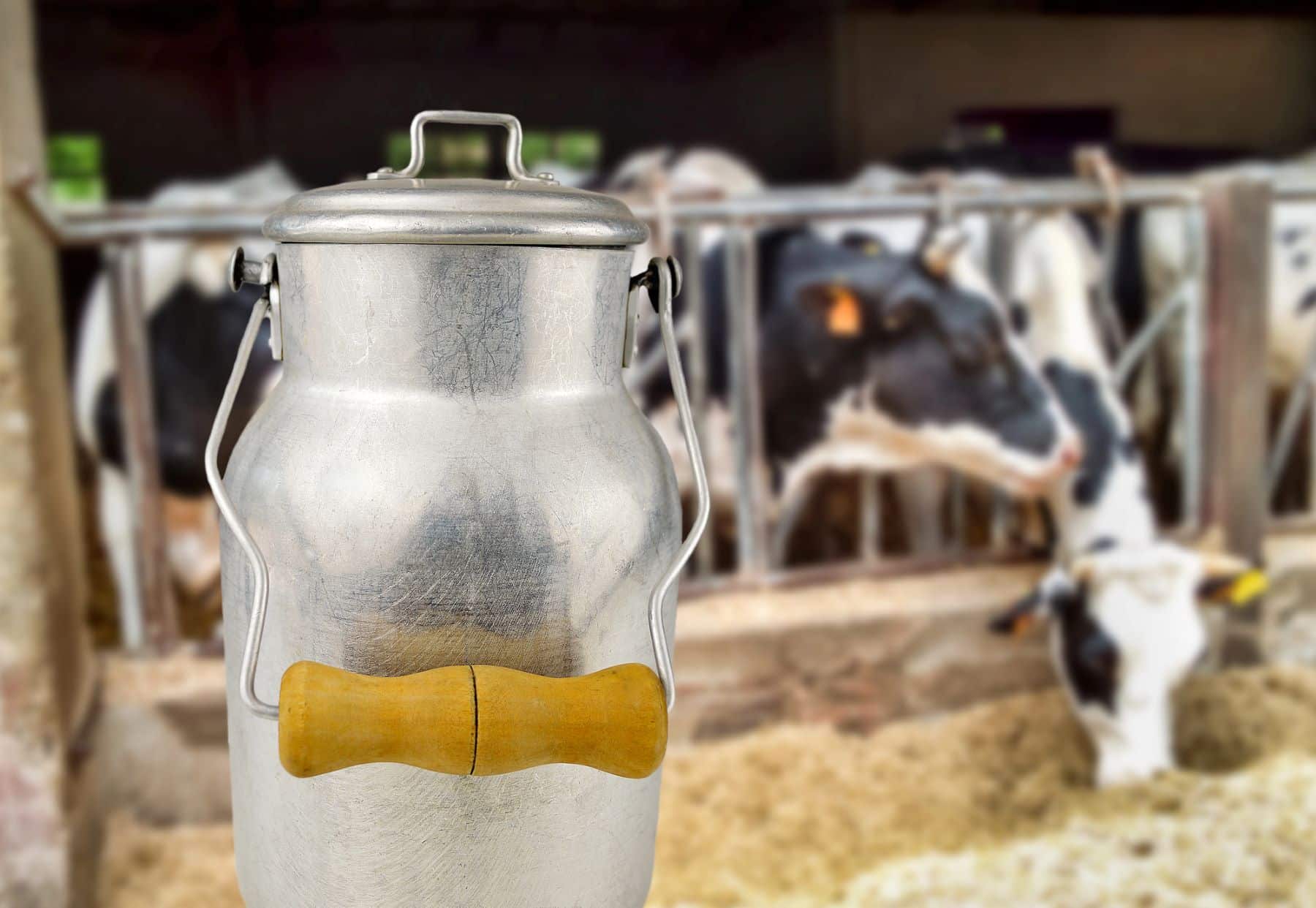 Cantabria ayudas producción sostenible leche de vaca