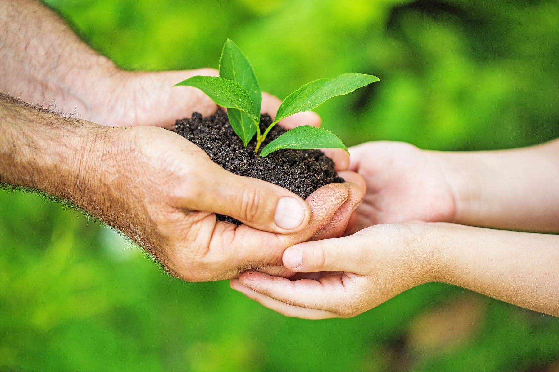 Cantabria huertos ecológicos escolares