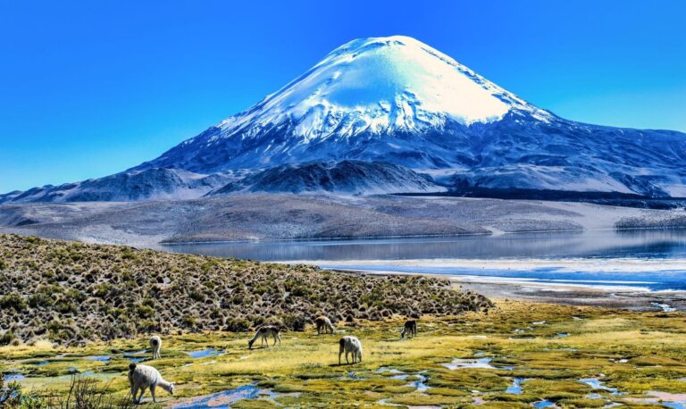 Chile humedales