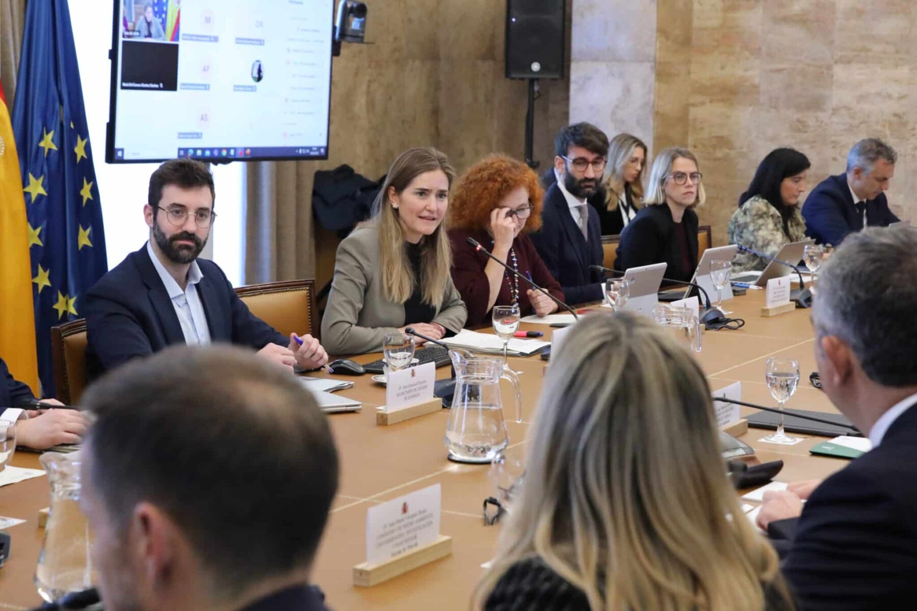 Conferencia Sectorial Energía 2025 pobreza energética vehículo eléctrico renovables