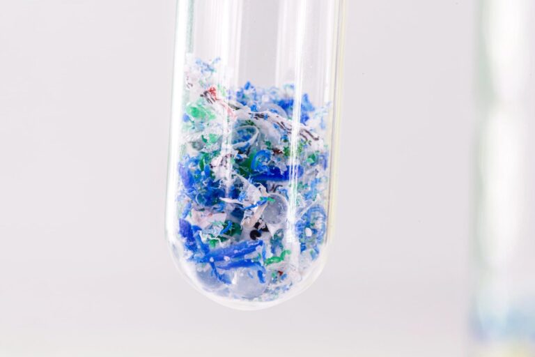 Microplásticos riñón hígado cerebro ser humano