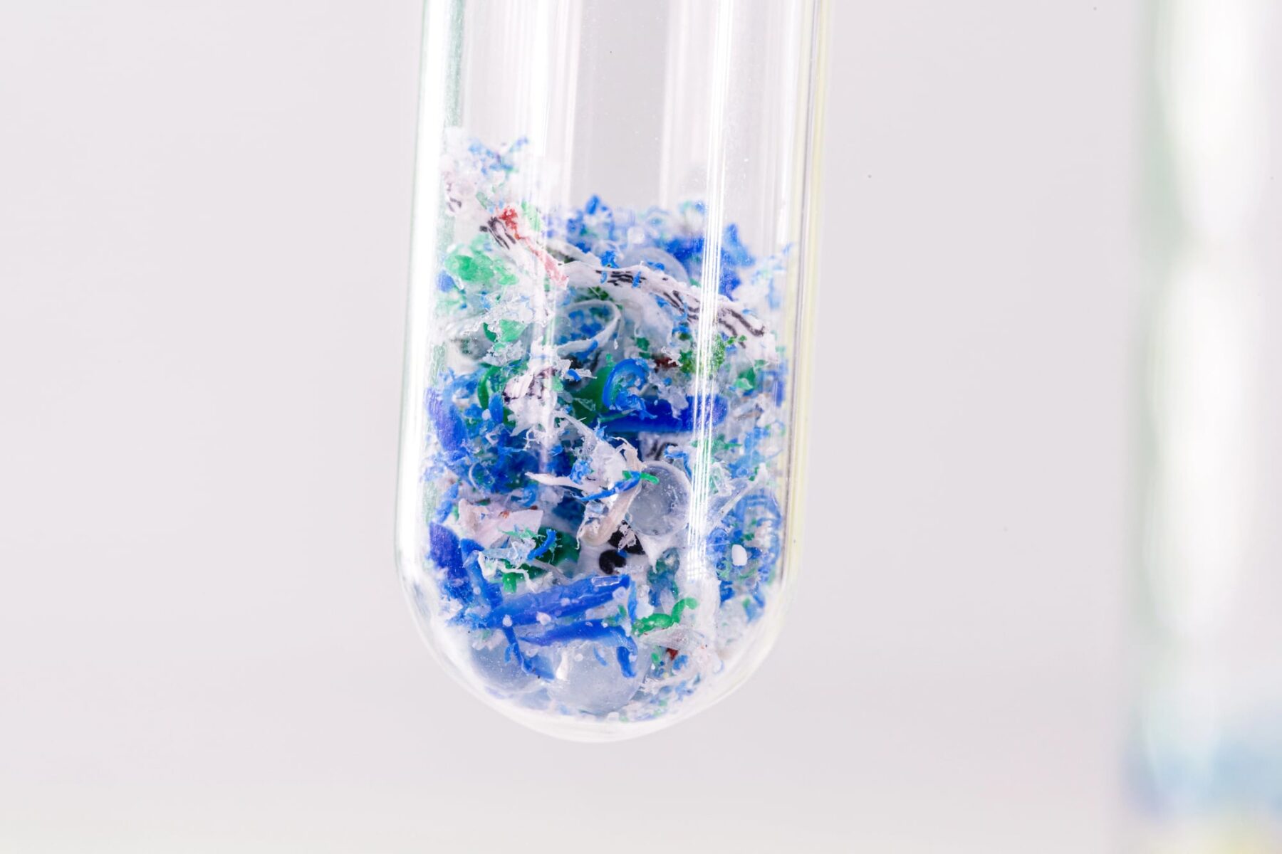 Microplásticos riñón hígado cerebro ser humano