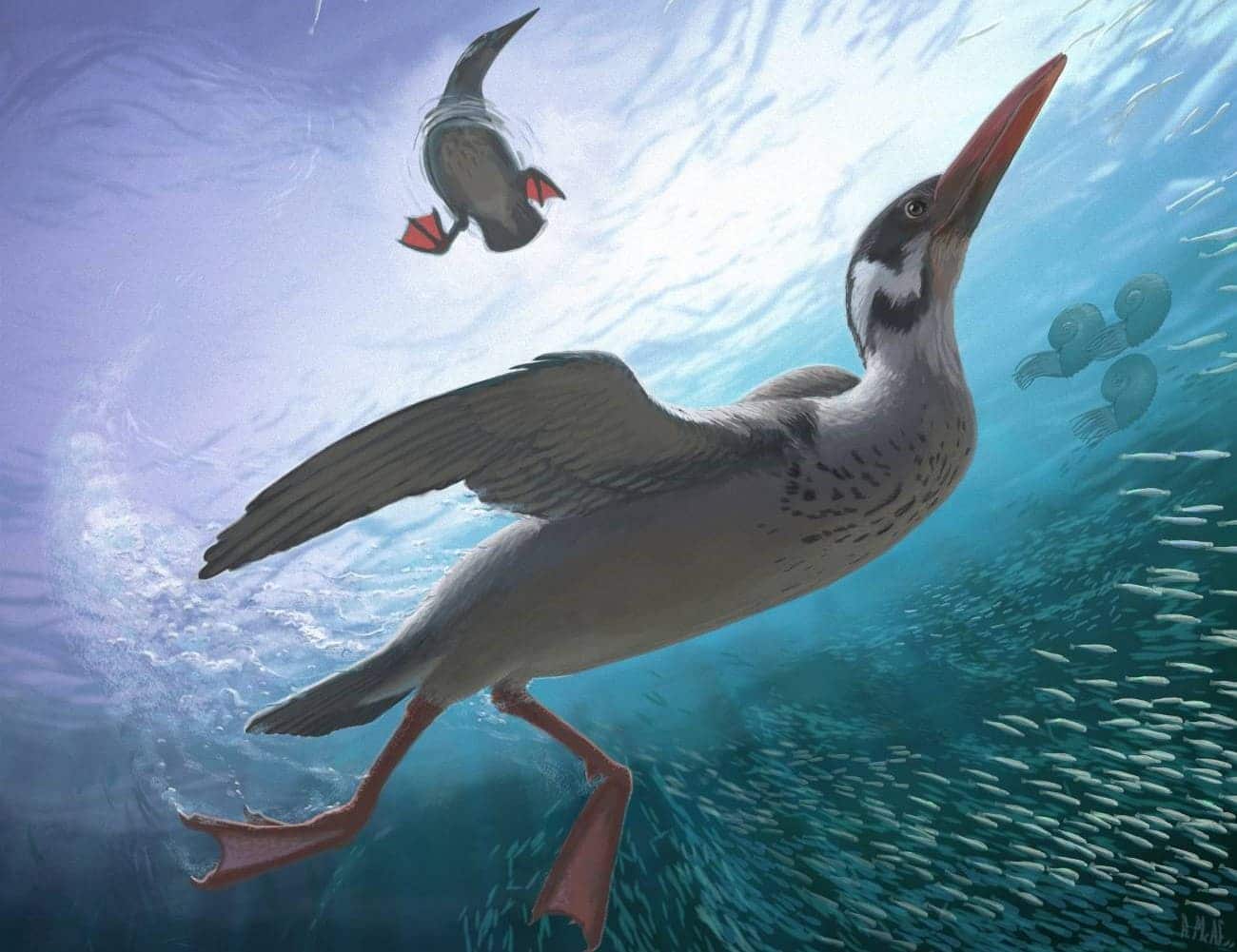 ave extinta Vegavis iaai