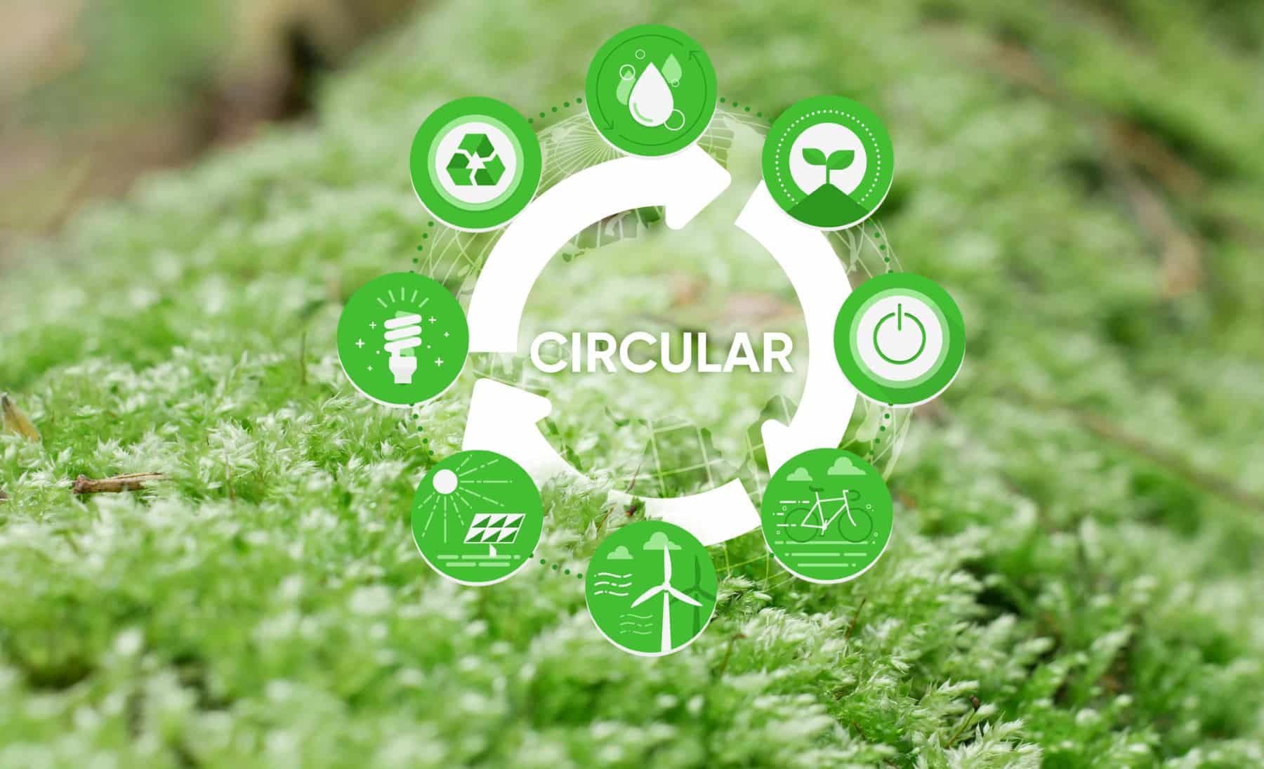 EU Bioeconomy Clusters Alliance bioeconomía circular sostenible