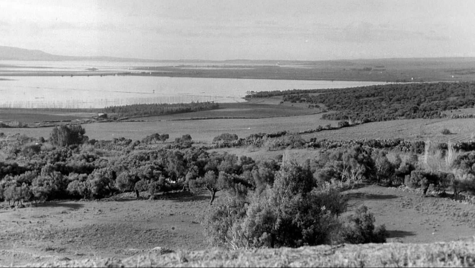 MITECO humedales desecados franquismo